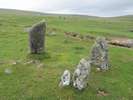 Dartmoor - kamenné řady