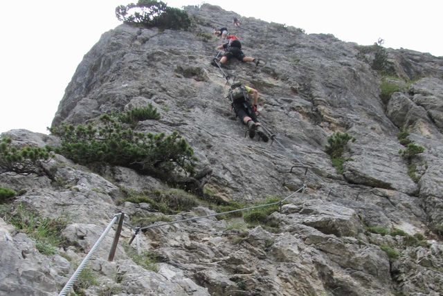 Faloria