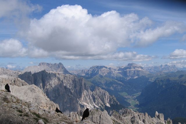 Rozhled z vrcholu Rotwandu - s kavčaty