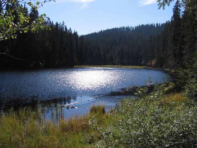 Šumava - jezero Laka