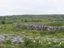 Burren