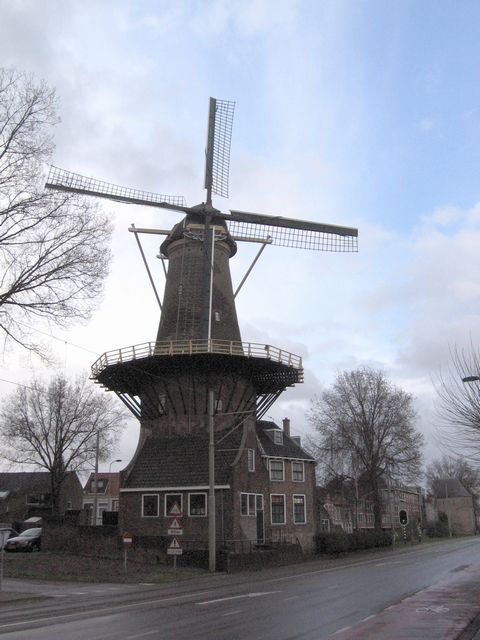 Delft - mlýn Moos