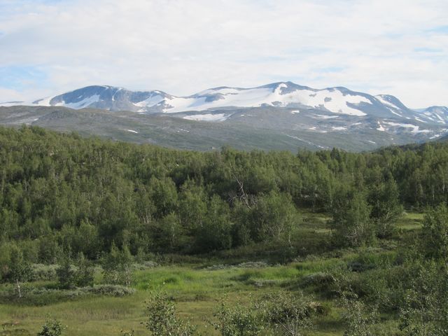 Náhorní planina