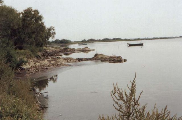 Camargue