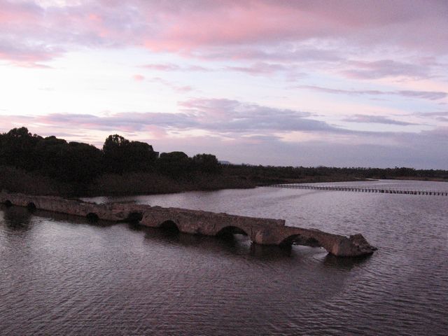 Most ve Fertilii